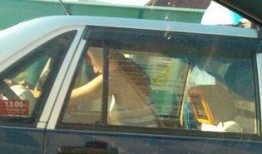 东北出租车最新爆料视频,揭秘行业内幕与现状